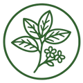 Stevia
