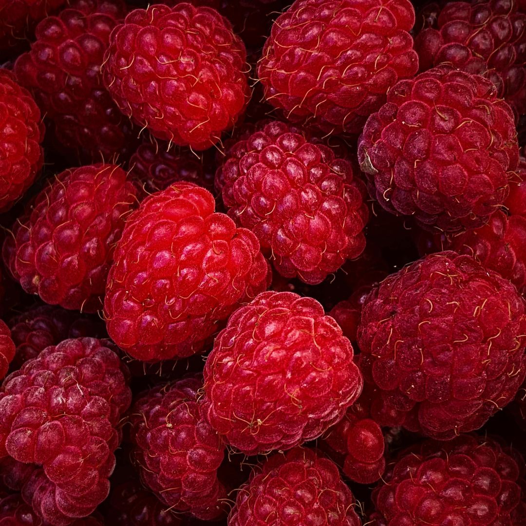 Ferske bringebær som illustrerer bringebær som ingrediens