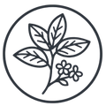 Stevia