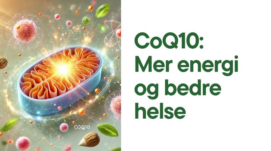 En celle med mitokondrie som produserer energi. Tekst: CoQ10 Mer energi og bedre helse