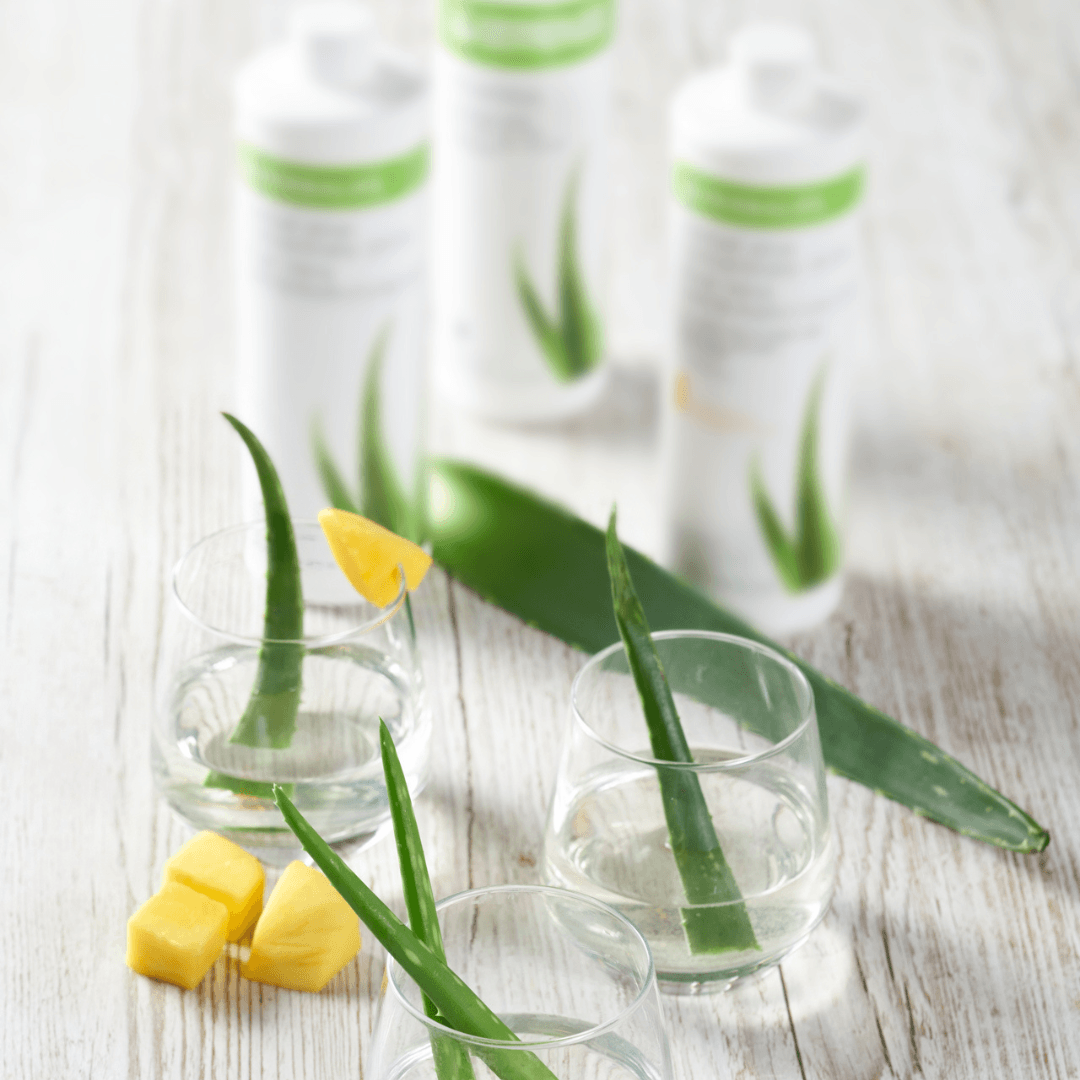 I forgrunnen tre glass vann med aloevera-blad i, det ene glasset pyntet med mango. I bakgrunnen skimtes tre flasker Herbalife Herbal Aloe urtekonsentrat aloejuice. 