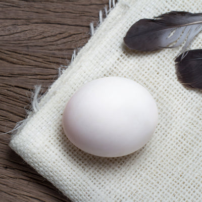 Egg