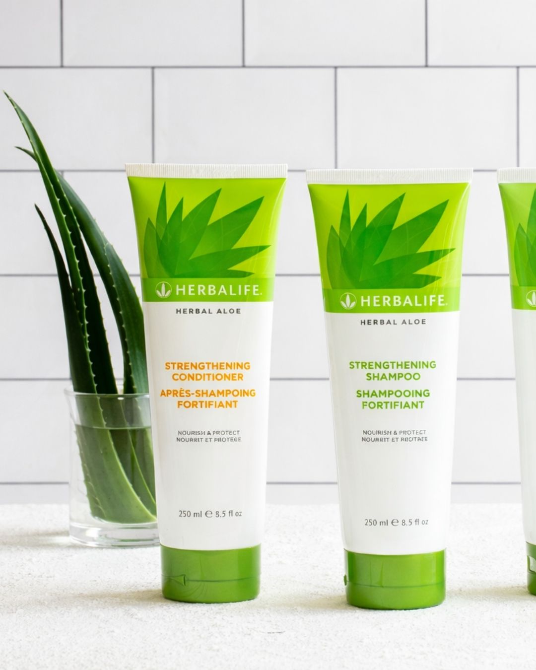 En flaske Herbalife styrkende shampo og balsam på et bord, og i bakgrunnen noen aloe vera-blader som står i et glass vann. 
