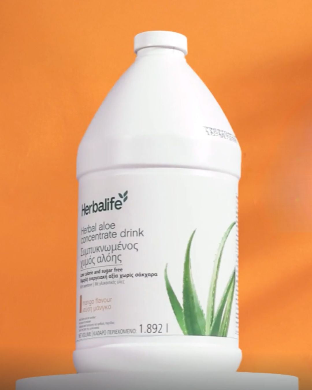 Aloe vera-juice mangosmak - stor