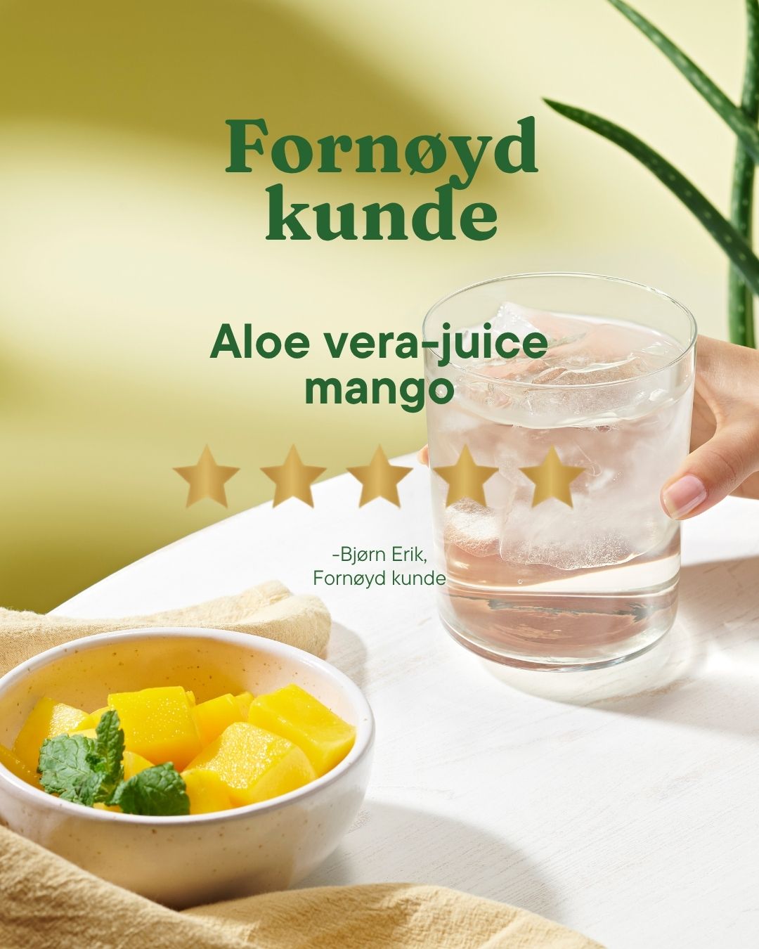Aloe vera-juice mango - 473 ml